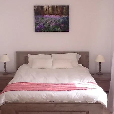 Appartement Pleasant 2 Bed In The Calm Palm Area Of With Beaches Nearby On Sides 1525 Cannes