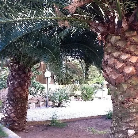 Apartment Palm Serenity: Cozy 2-bed Near Beaches *
